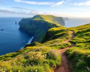 Natuurwandelingen door de kliffen van Moher in Ierland