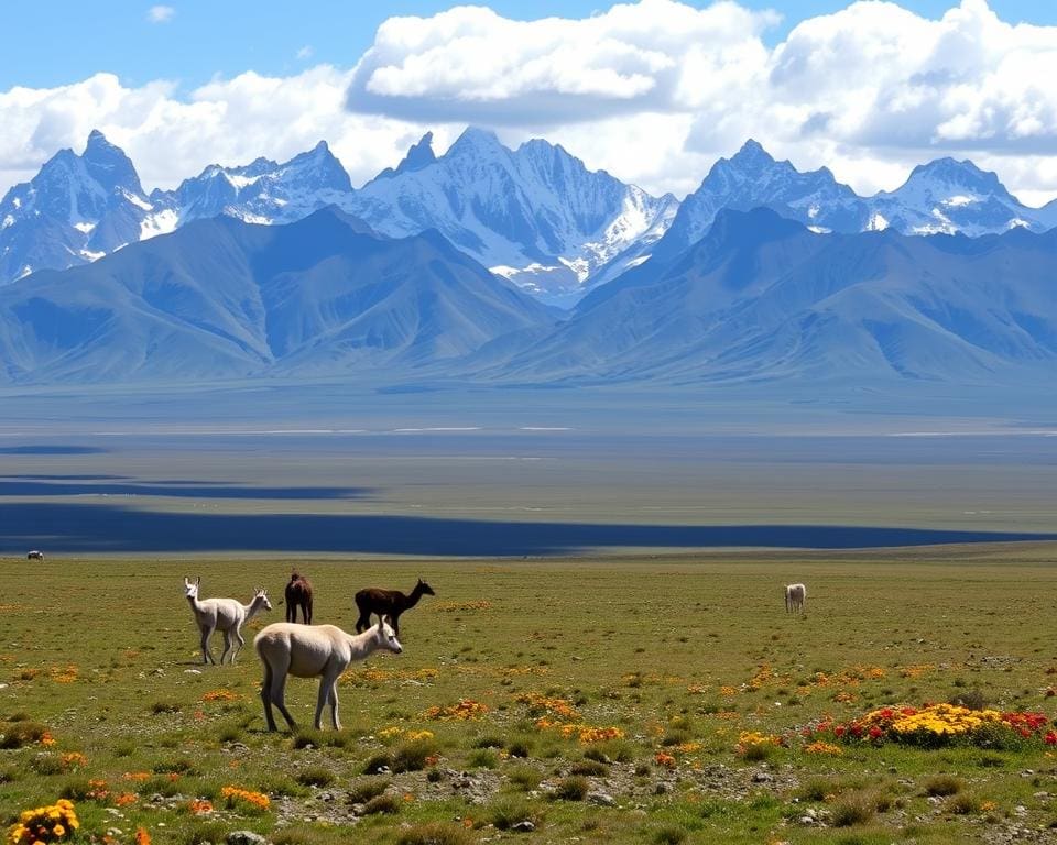 Patagonië natuurtoerisme