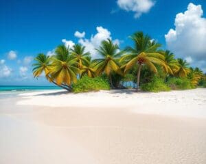 Stranden van de Bahama's: paradijselijke stranden en helder water