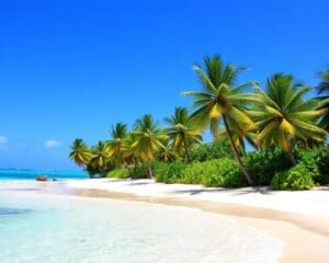 Stranden van de Bahama's: tropisch paradijs en helder water