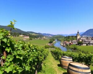 Drinkgewoontes in Oostenrijk: ontdek de wijnen van de Wachau