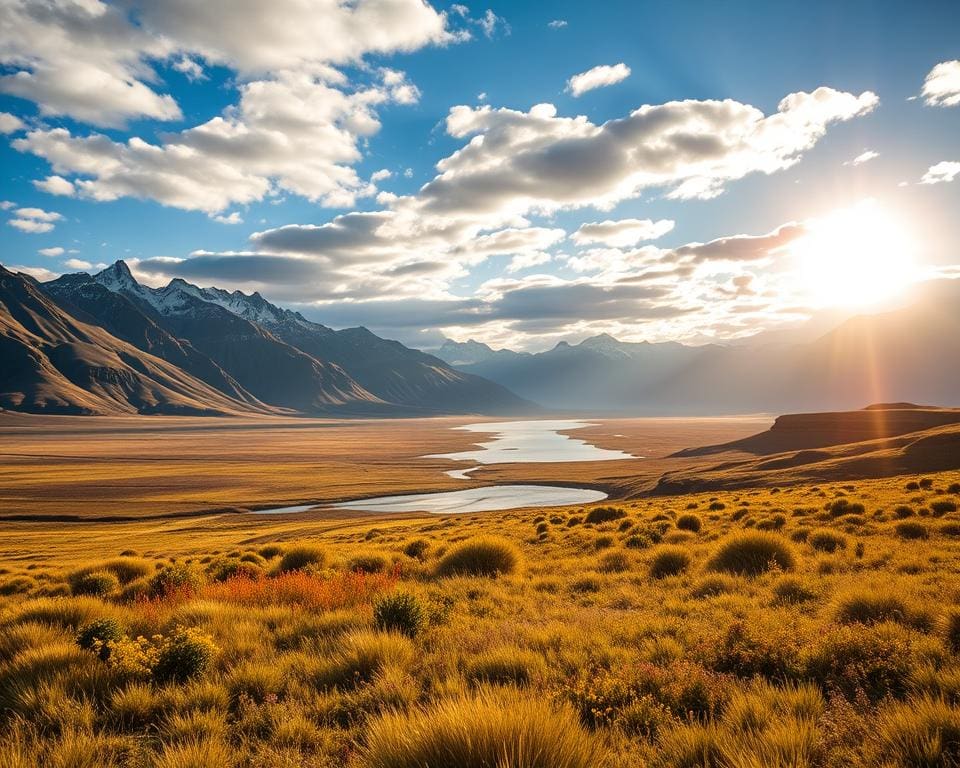 Natuur ontdekken in de ruige vlaktes van Patagonië