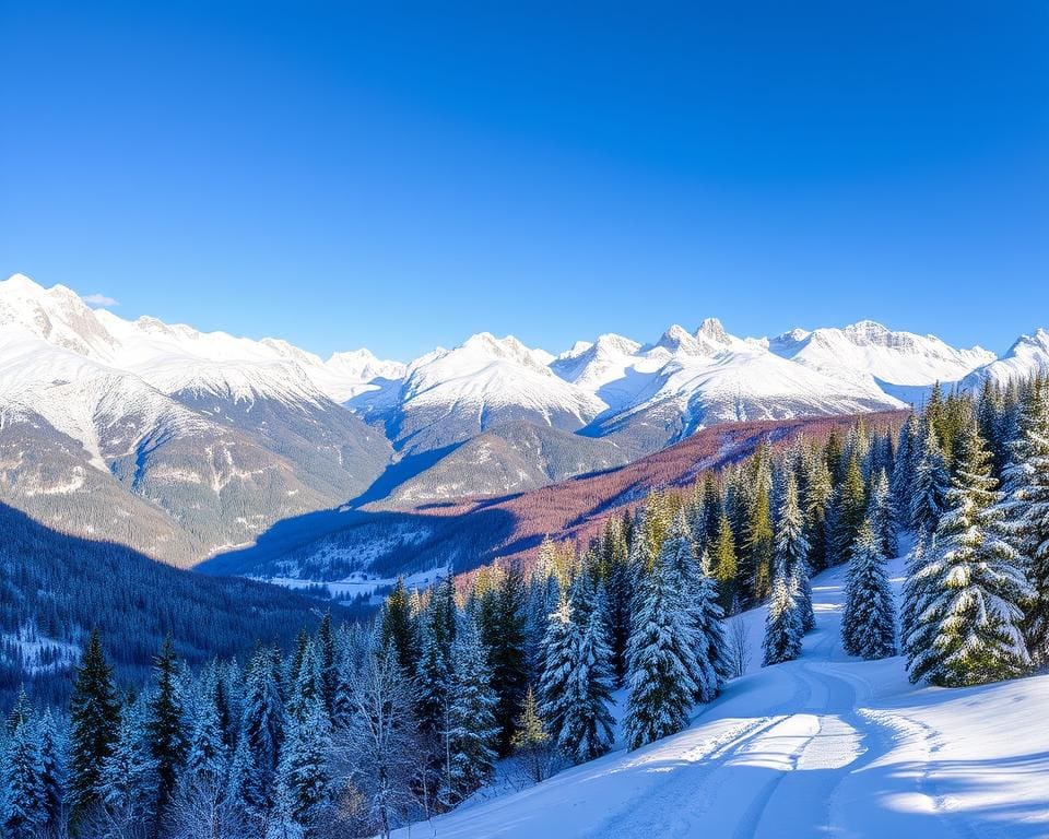 Unieke uitzichten in het berglandschap van St. Anton