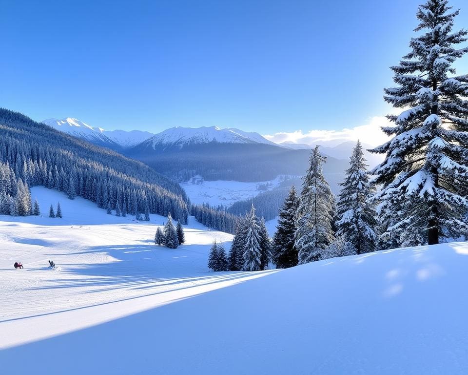 Wildschönau: Oostenrijkse pistes in rust