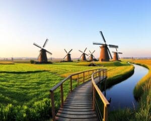 Wat kun je doen rond de Kinderdijk-molens?