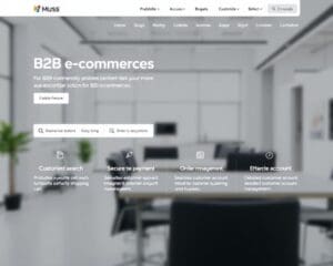 Welke functionaliteiten zijn belangrijk voor B2B-webshops?