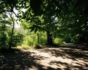 Wat zijn de voordelen van natuurlijke schaduwwerking?