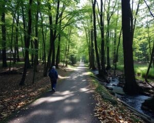 Wat maakt wandelen zo goed voor je mentale gezondheid?