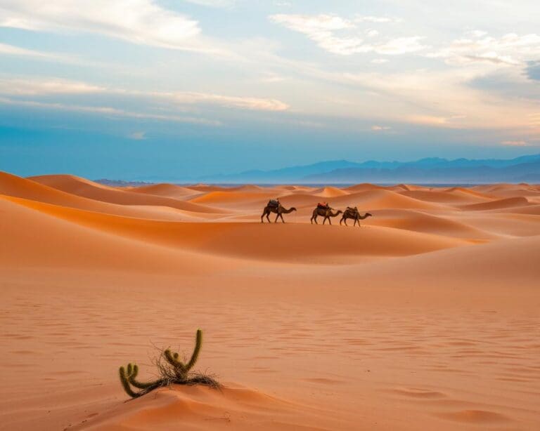 Rondreis door Marokko met woestijn en steden