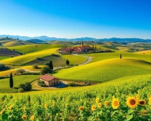 Wat maakt Toscane geschikt voor een rondreis?